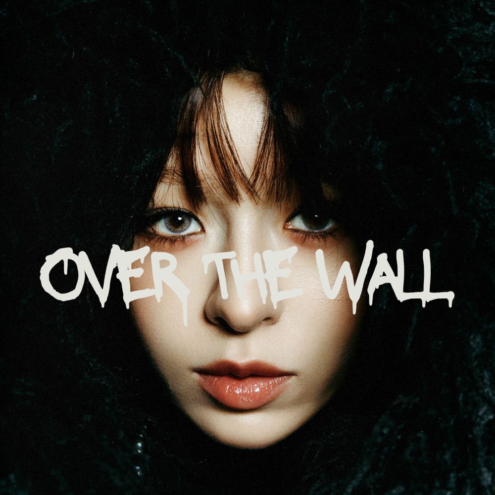 Over The Wall (with sEODo) by NIKA album art